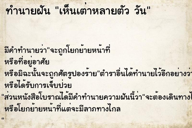 ทำนายฝันเห็นเต่าหลายตัววัน ทำนายฝันทำนายฝันเห็นเต่าหลายตัววัน